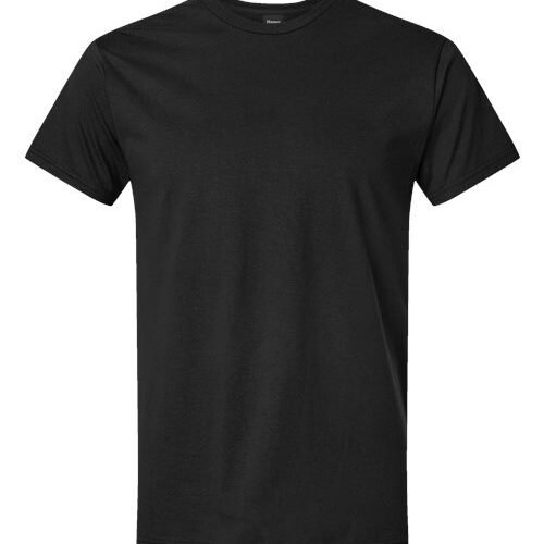 Hanes 498PT
