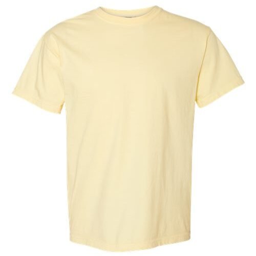 Comfort Colors 1717
