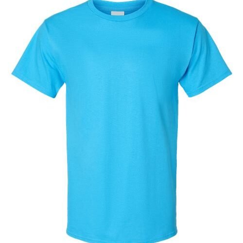 Hanes 5250
